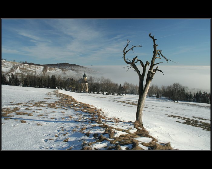 Dlouhá Louka