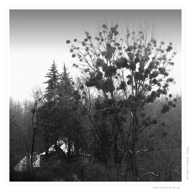 Z lednového výšlapu II