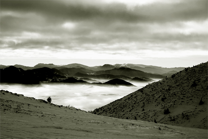 Karpaty