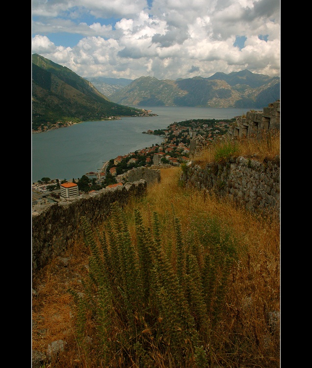 ...Kotor...