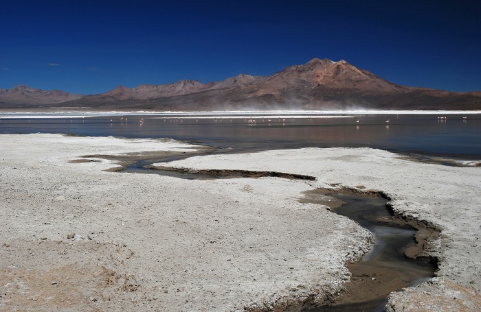 Salar de Surire II