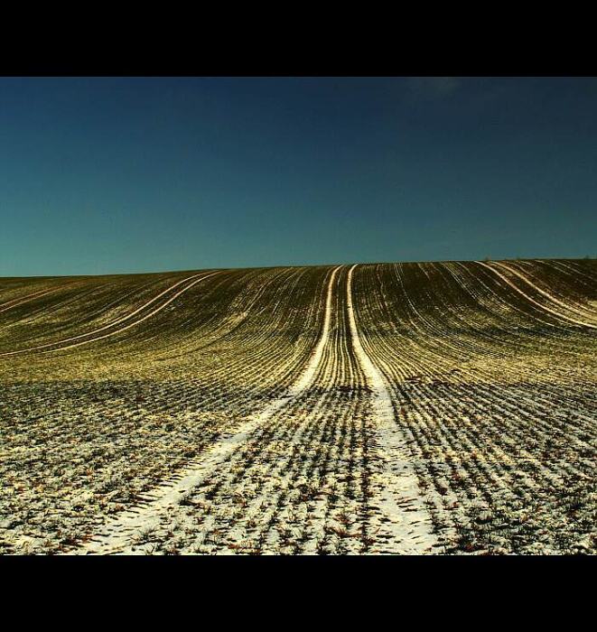 čekání na jaro (2)