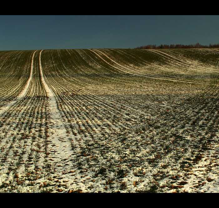čekání na jaro (3)