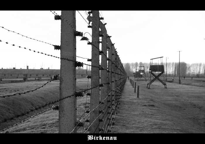 Birkenau
