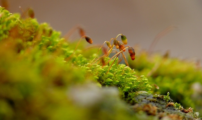 Společné čekání