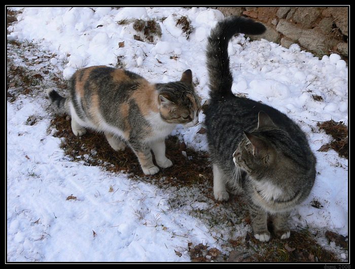 No fuj to je ale smrad.....