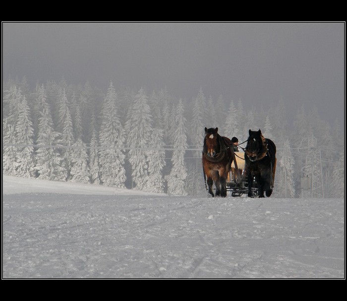 Už jedou