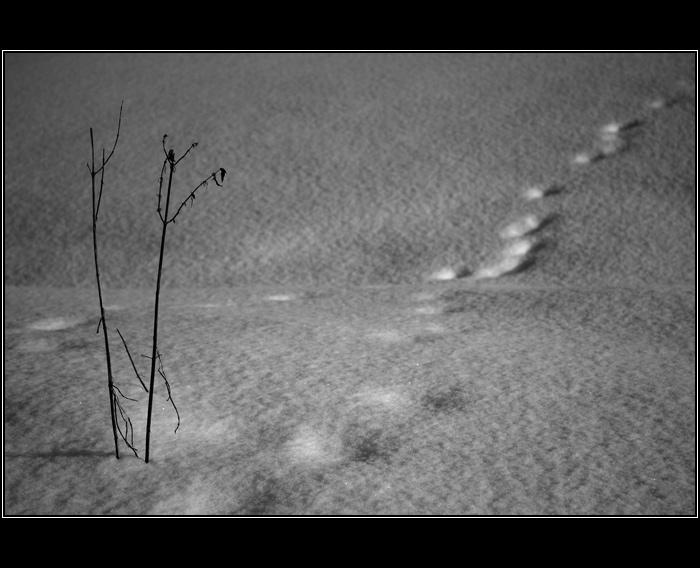 Pojď, musíme jít za ním!