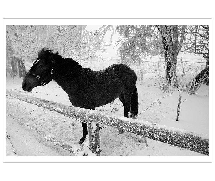 *** Nekoukej na mě :-) ***