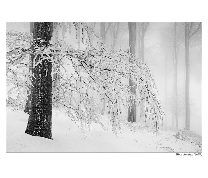 Zamrznuté Karpaty III.