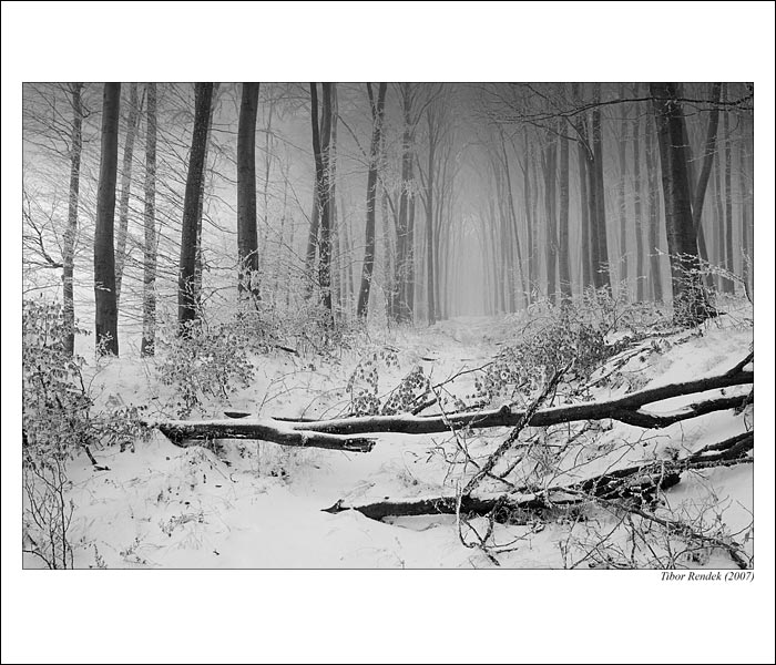 Cesta do neznáma V.