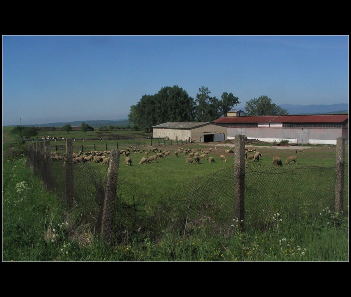 Offce,alebo vyberte si...