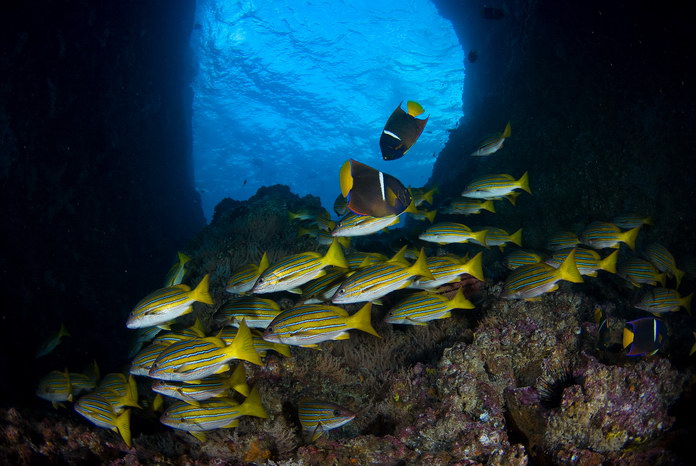 Cave