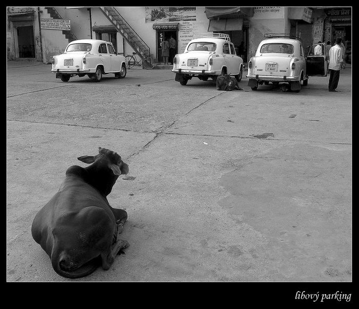Libový parking v Rishikeshi:)
