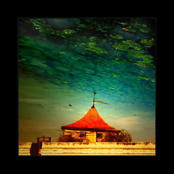 ..color seeing world..