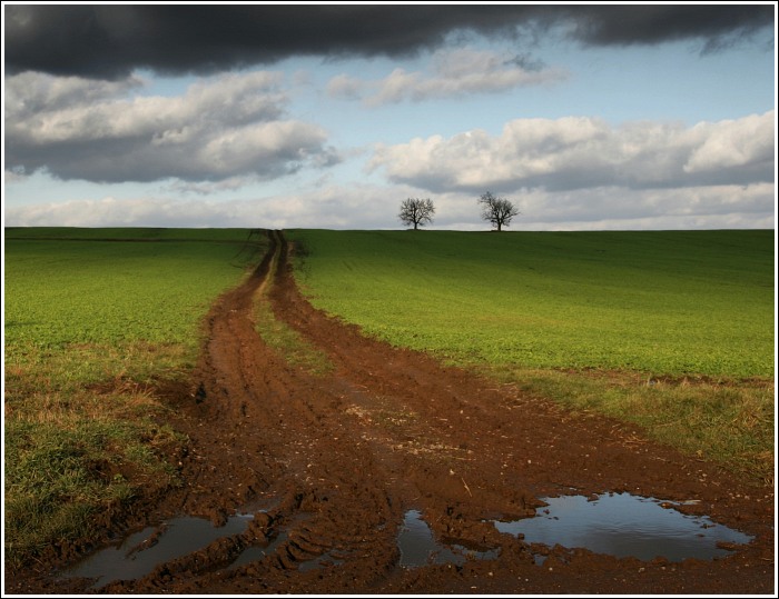 ...z toulek po Čechách...