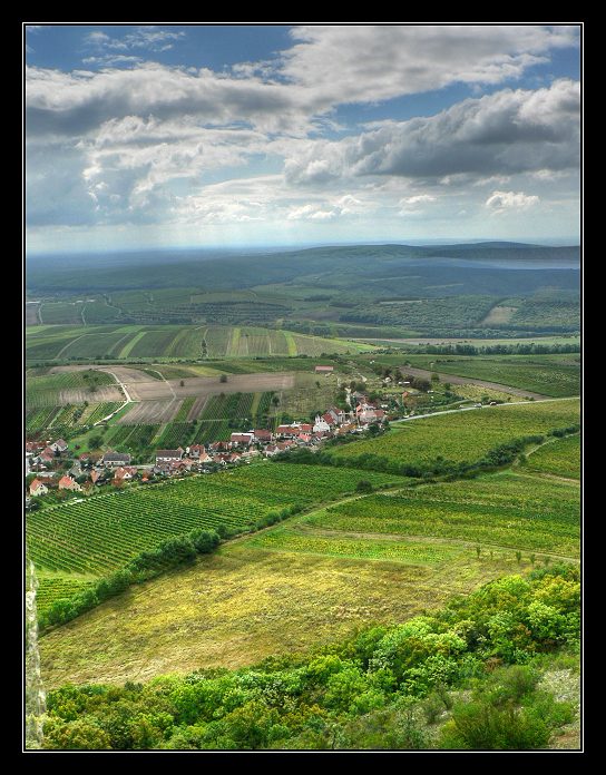 Pavlovské vinice