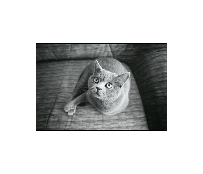 olda nenoha strašně smutnej bez nohy