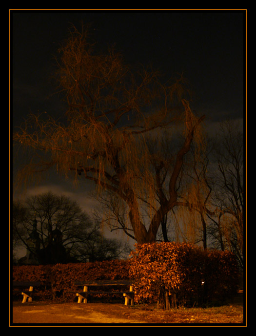 Tichý svedok noci...