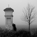 Je mi bez Tebe smutno.