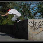 Vzpominka na letniho Stalina