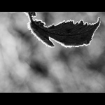 Listovka z prosince vložená v lednu