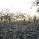 V krajině ztracených duší