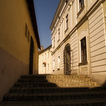 Muzeum