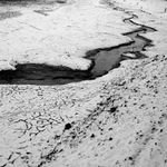 100 dAys wiThout coLor