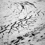 101 dAys wiThout coLor