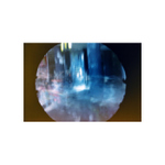 serie zo spendlikovej dierky so skolkarmi na prechadzke