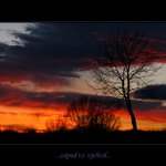 . . . zapadovka. . .