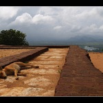 Sri Lanka na vrchole Sigyrie