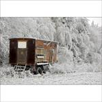 .:: Stanu se včelařem v roce 2008 ::.