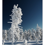 Na Klínovci bývá fajn ..