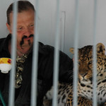 Spinkej kočičko spinkej :)