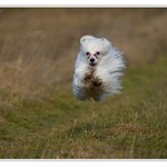 ,...už letím...:-)