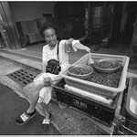 Korejský pražený červík