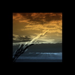 zááápadofka zrnitááá