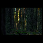 lesnííí...nesni!...