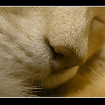 ..dobrou..