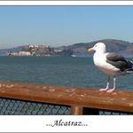 ...raději jen z dálky...