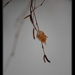 pozdní procházka spící krajinou....