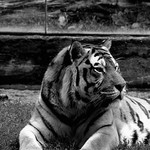 pořád se něco děje