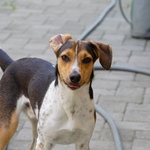 Já zase něco vyvedu!