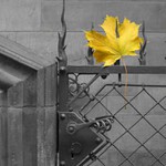 Nechal jsem ti na brance lístek ...