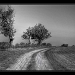 Cesta do Neznáma...