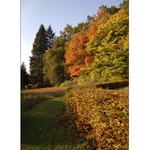 Ohlednutí se za podzimem