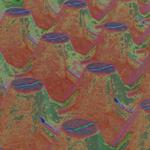 Anketa: Copak to je?:)