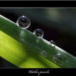 Water pearls